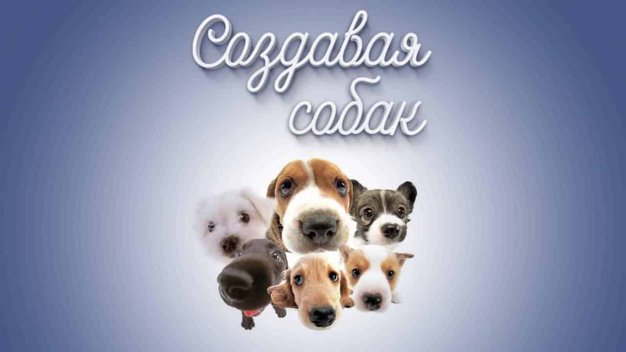 Создать собаку 3. Создать собаку 3