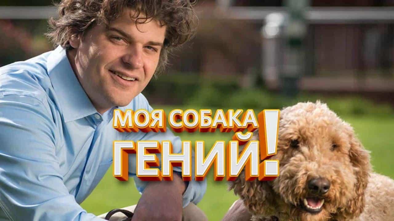 Это моя собака 2012